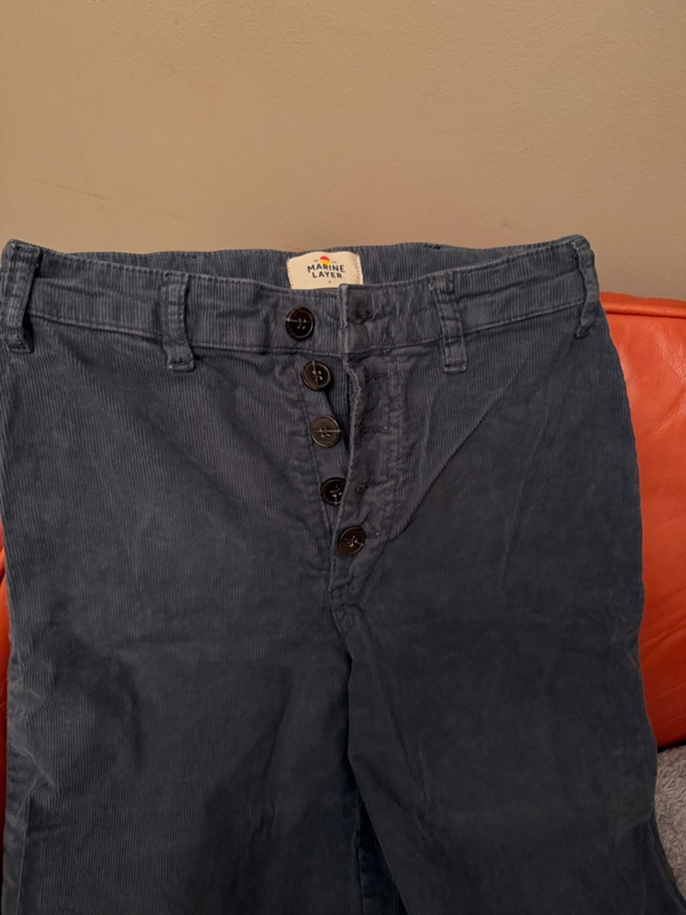 Marine Layer Women's Navy Blue Corduroy Button-Fly Pants